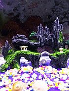 Acessórios para Aquários & Peixes