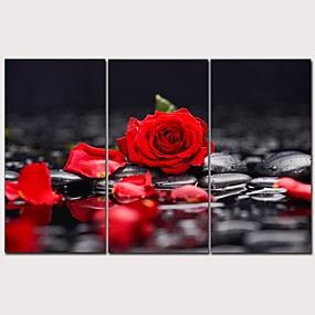 baratos Estampadas-Estampado Estampados de Lonas Esticada - Botânico Modern 3 Painéis Art Prints